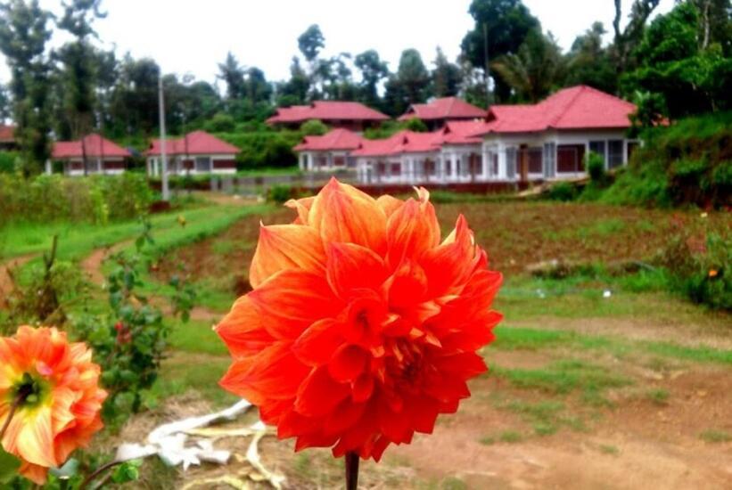 Himani Heritage Resorts, Formerly Camp Nishani Holidays Madikeri Exterior foto